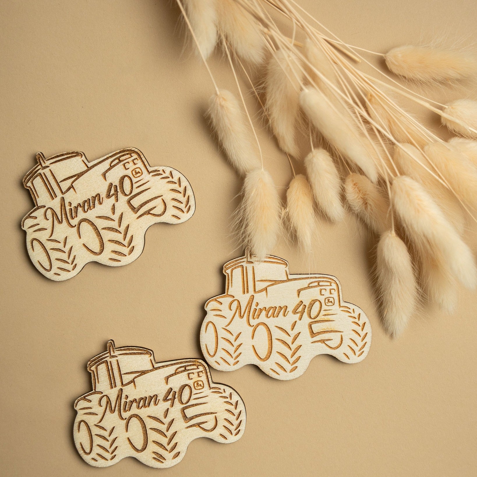 Zahvalni magneti - traktor